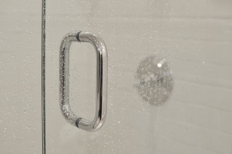 Shower Door Servicing
